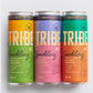 TRIBEACV™ - Promo Pack for Influencers