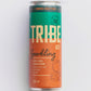TRIBEACV™ Apple Cider Vinegar Turmeric Ginger Peach Sparkling 355ml/12 PACK